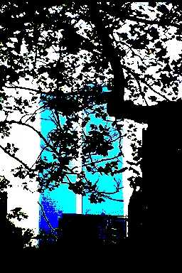 2814-67.jpg (89631 Byte)
